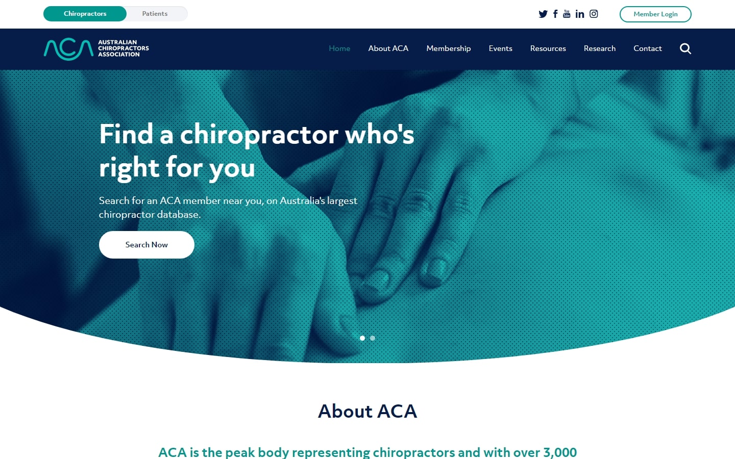 Best Chiropractic Web Design