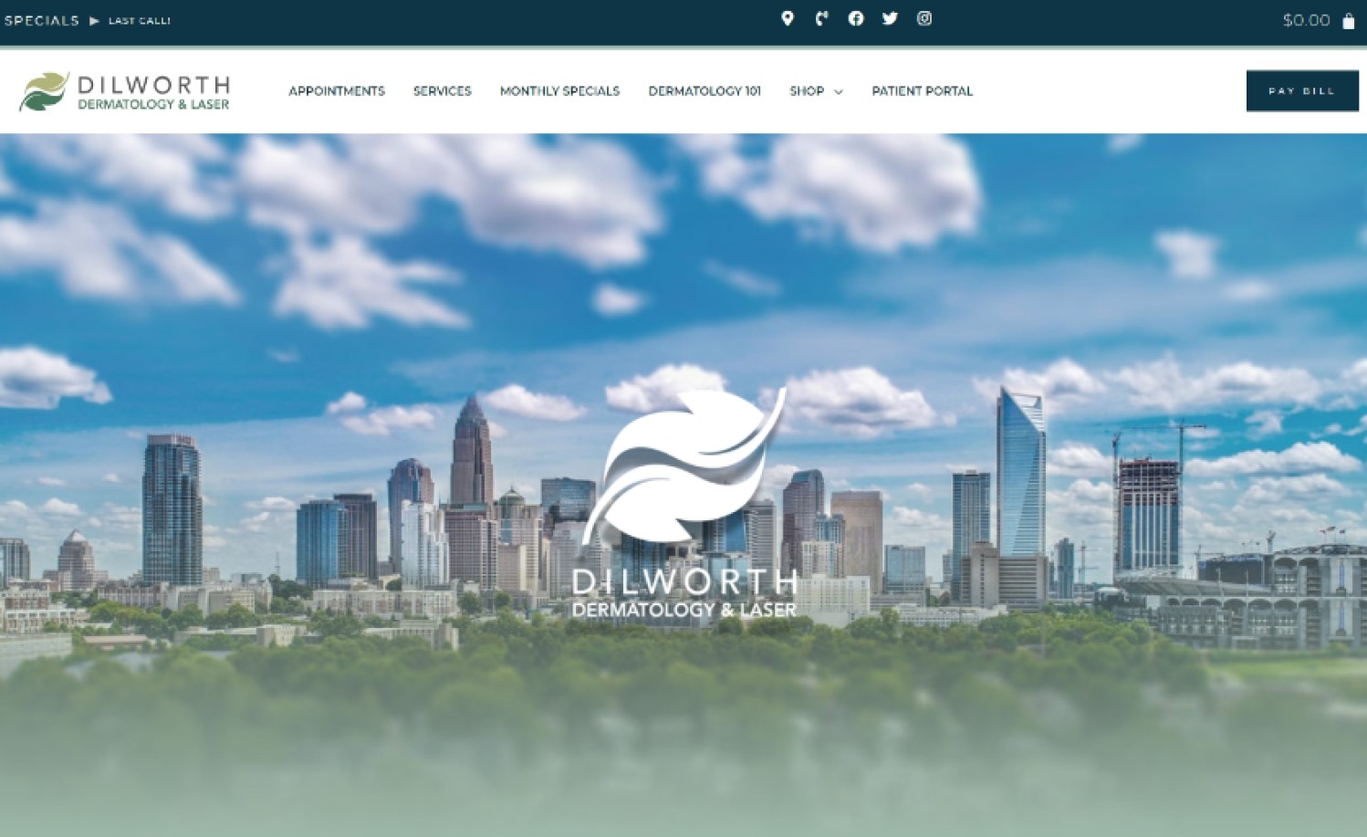 dermatology website design