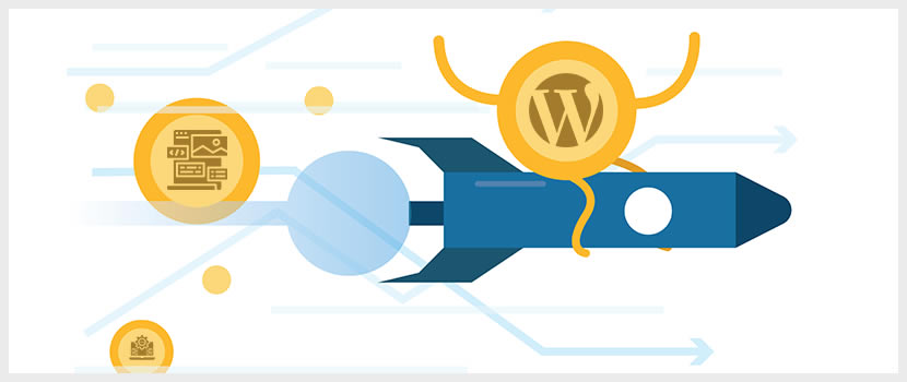 WordPress Speed