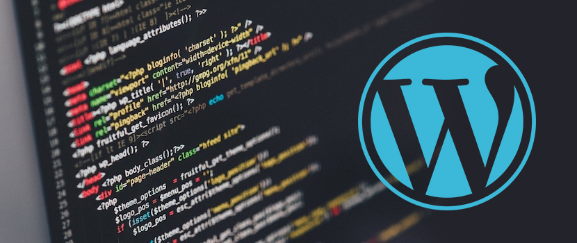 Custom WordPress Development